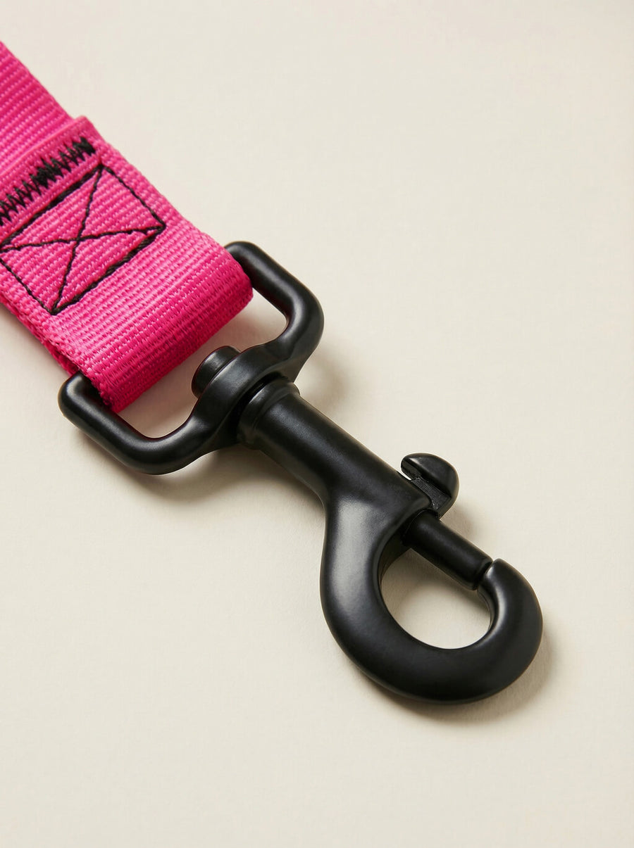 Webbing texture on the neon pink dog collar and leash from WOOF