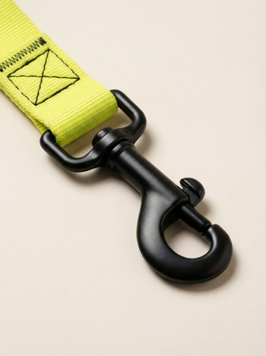 Webbing texture on the neon yellow dog collar and leash from WOOF