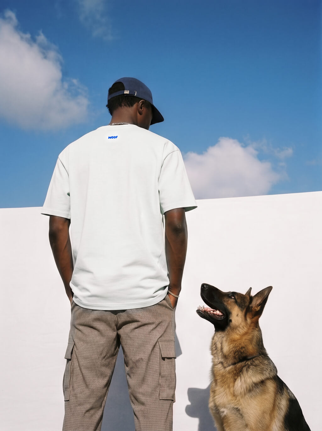 I Just Want To Pet Dogs Heavyweight T-Shirt