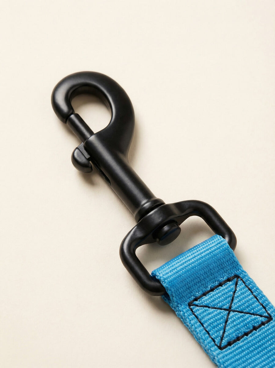 Webbing texture on the sky blue dog collar and leash from WOOF