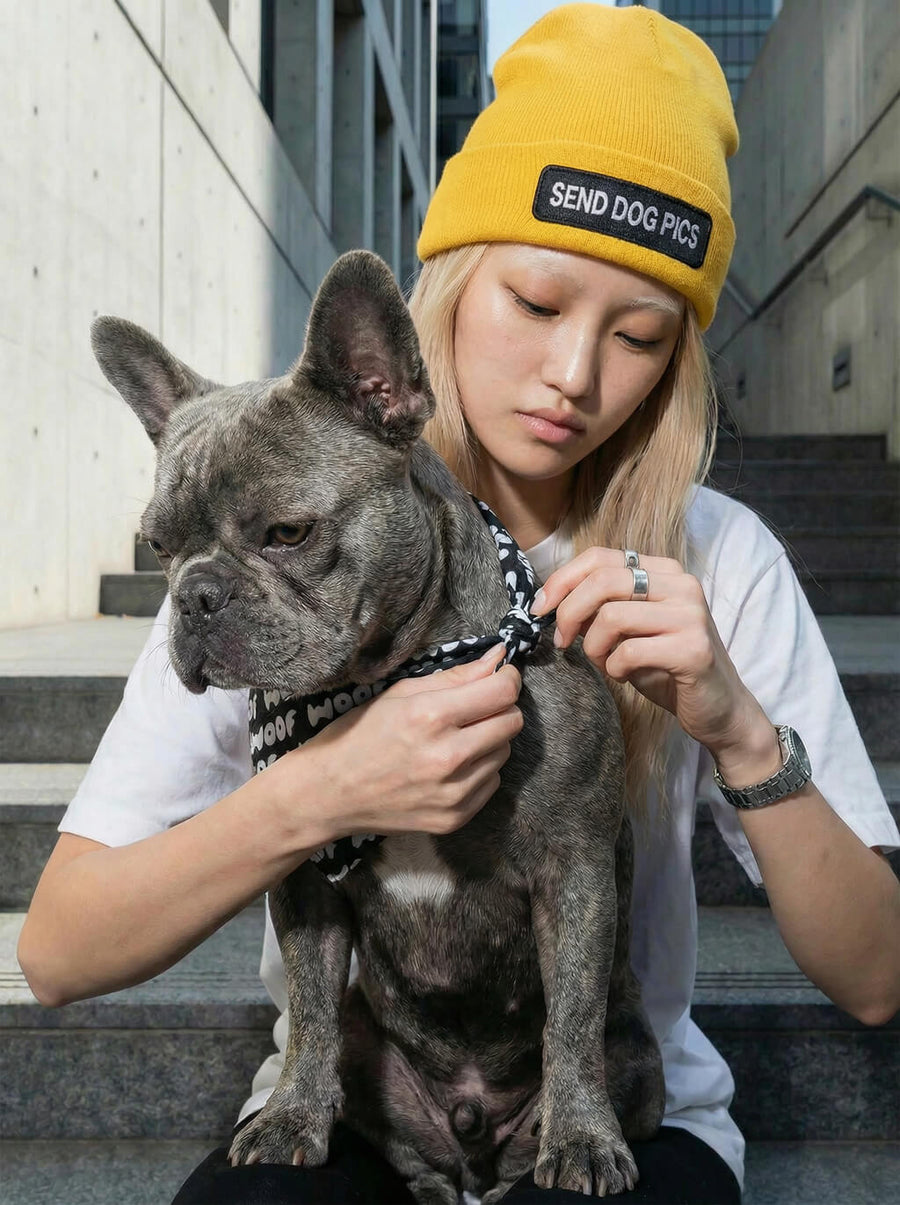 Close up of the WOOF logo on the dog bandana