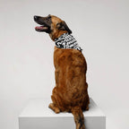 Less Talking More Walking Pet Bandana - Dogloverclothing.com
