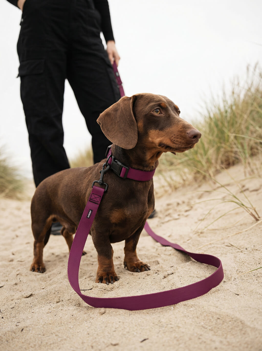 Burgundy Dog Collar & Leash Set