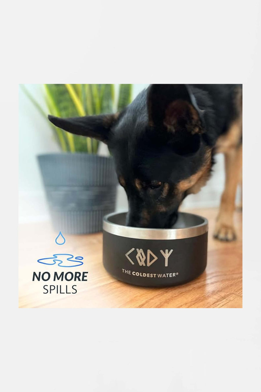 Coldest stainless steel dog bowl from WOOF in use beside a dog
