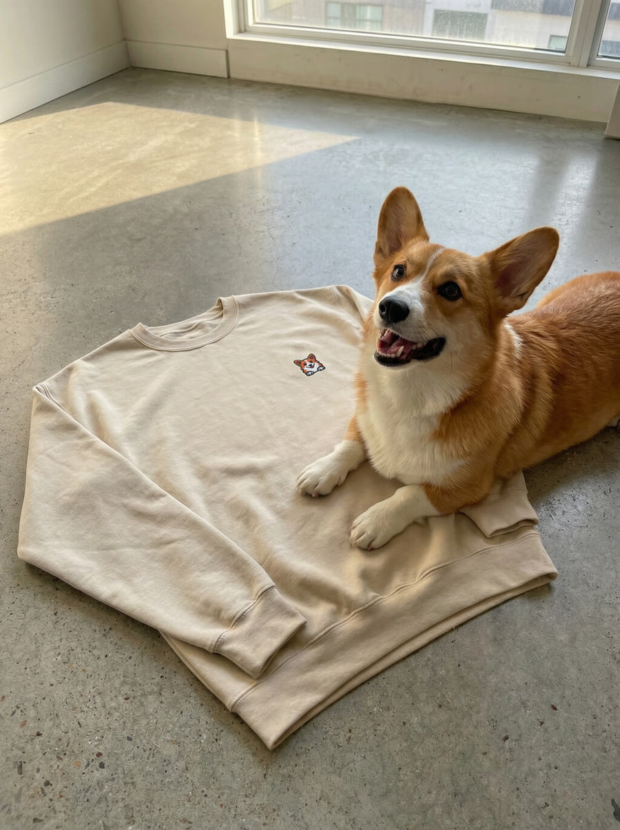 Front of the beige Embroidered Corgi Sweatshirt from WOOF on a plain background
