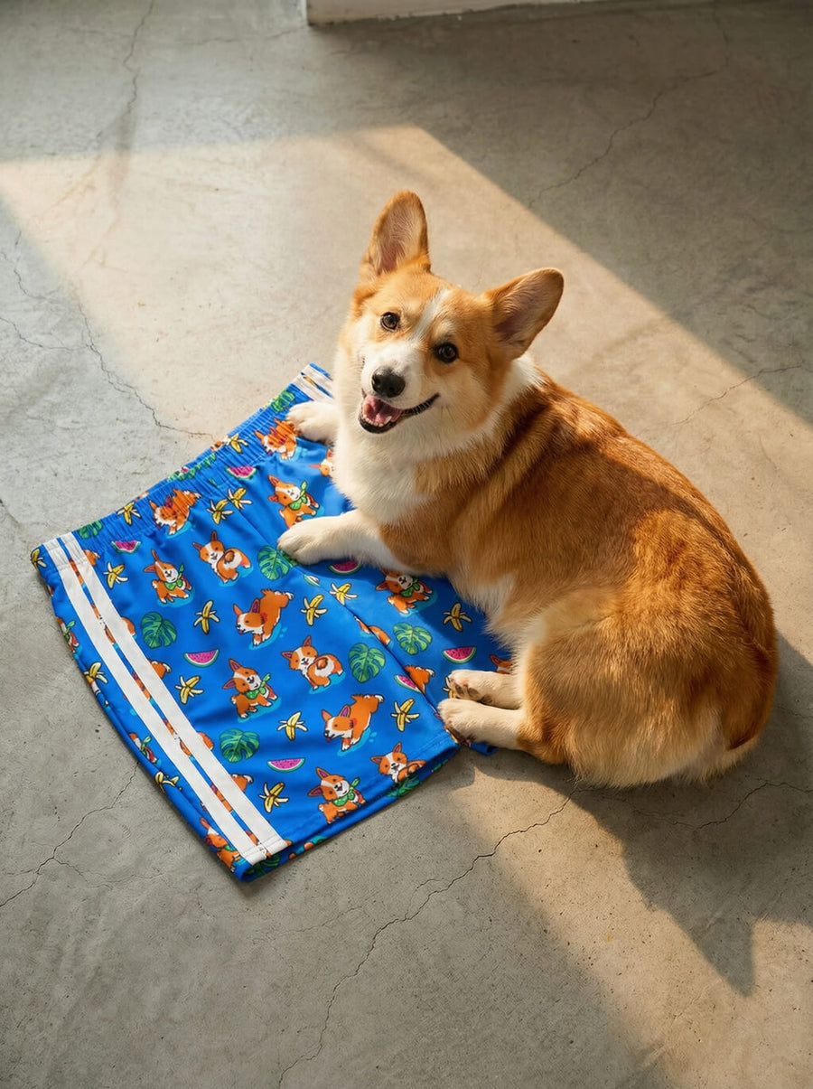 Tropical Corgi Beach Party swim shorts from WOOF laid flat, front view
