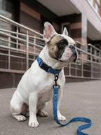 Denim Jeans Look Dog Collar & Leash Set
