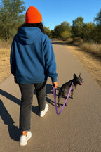 Lavender Dog Collar & Leash Set - WOOF