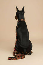 Elegant Leopard Dog Collar & Leash Set