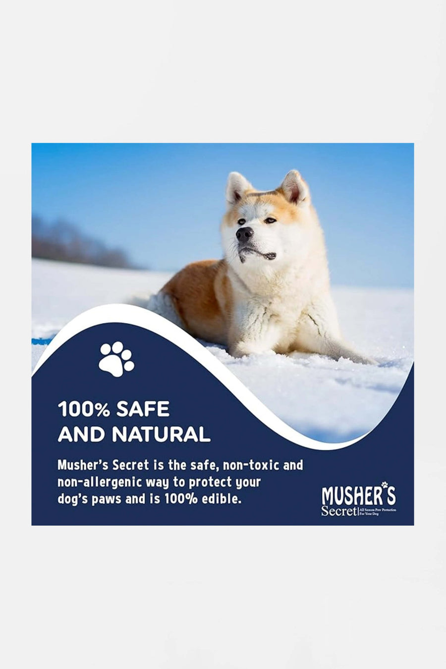 Mushers Secret paw wax from WOOF protecting paws on a winter walk
