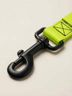 Neon Green Dog Collar & Leash Set