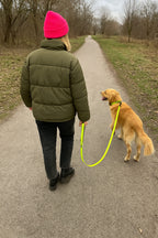 Neon Green Dog Collar & Leash - WOOF