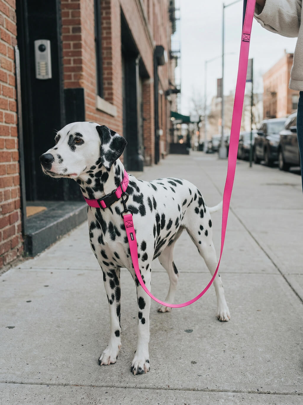 Neon Pink Dog Collar & Leash Set