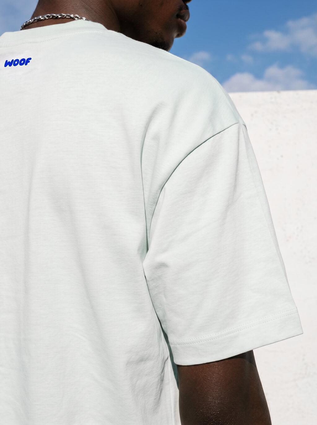 I Just Want To Pet Dogs Heavyweight T-Shirt