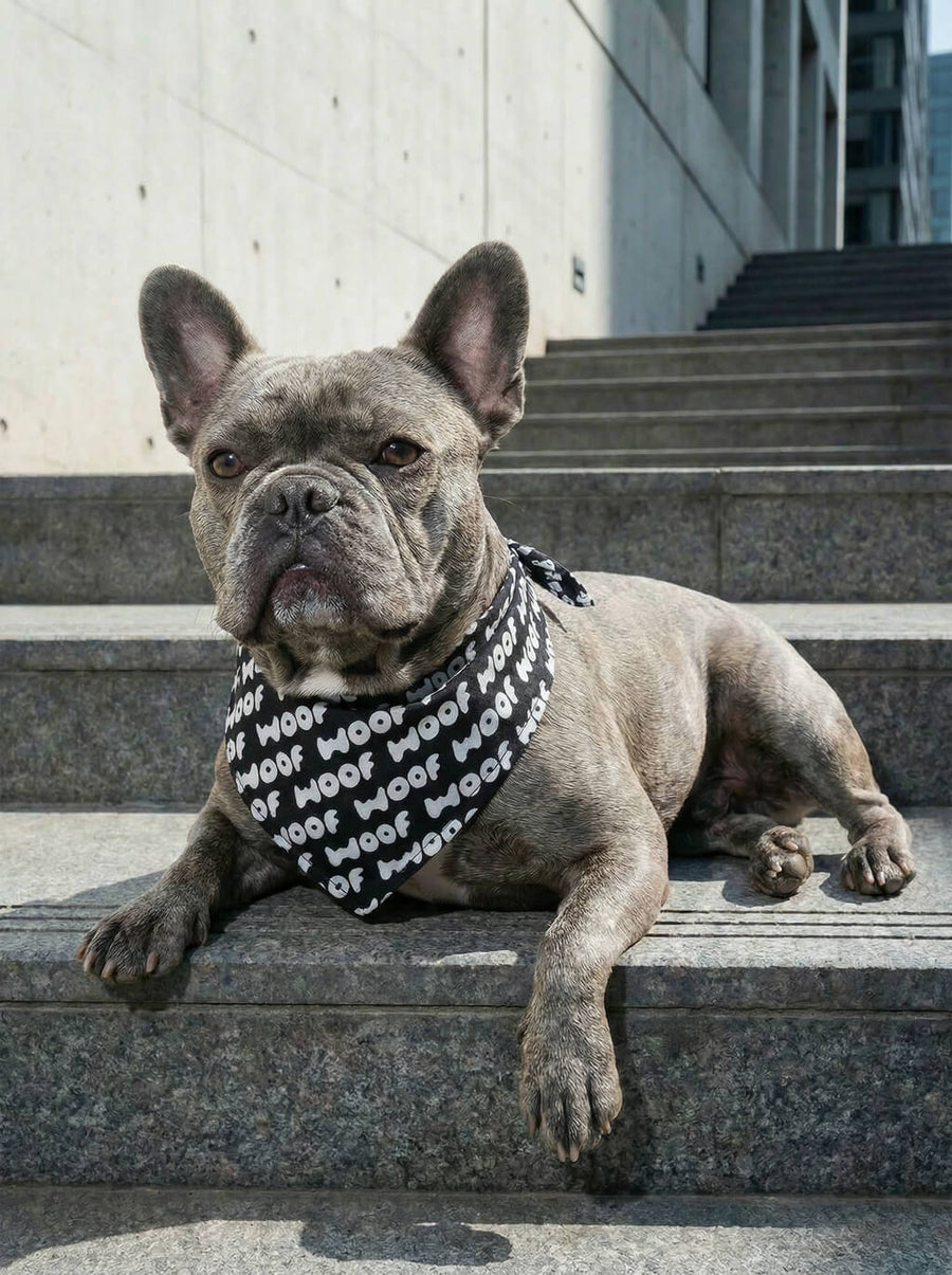 WOOF logo dog bandana on a plain background