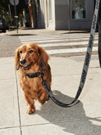 All Black WOOF Dog Collar & Leash Set