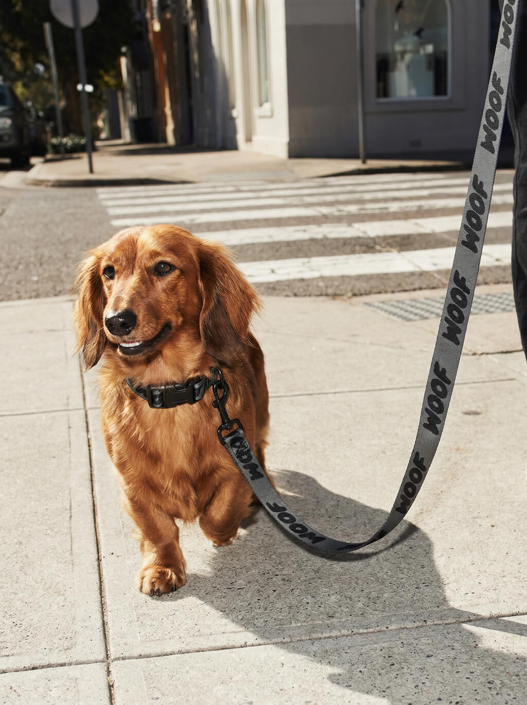 All Black WOOF Dog Collar & Leash Set