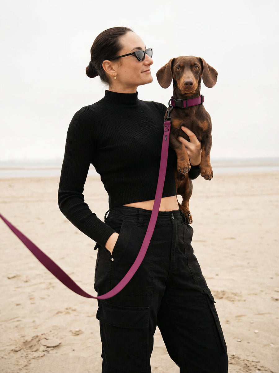 Burgundy dog collar and leash set from WOOF in use outdoors