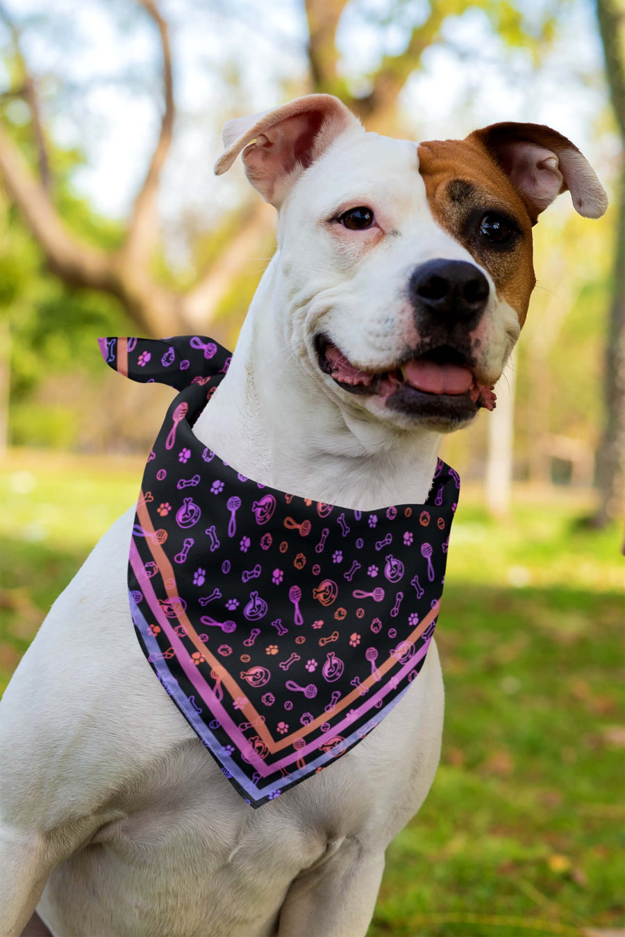 Playful Neon bandana from WOOF worn by a dog on a walk
