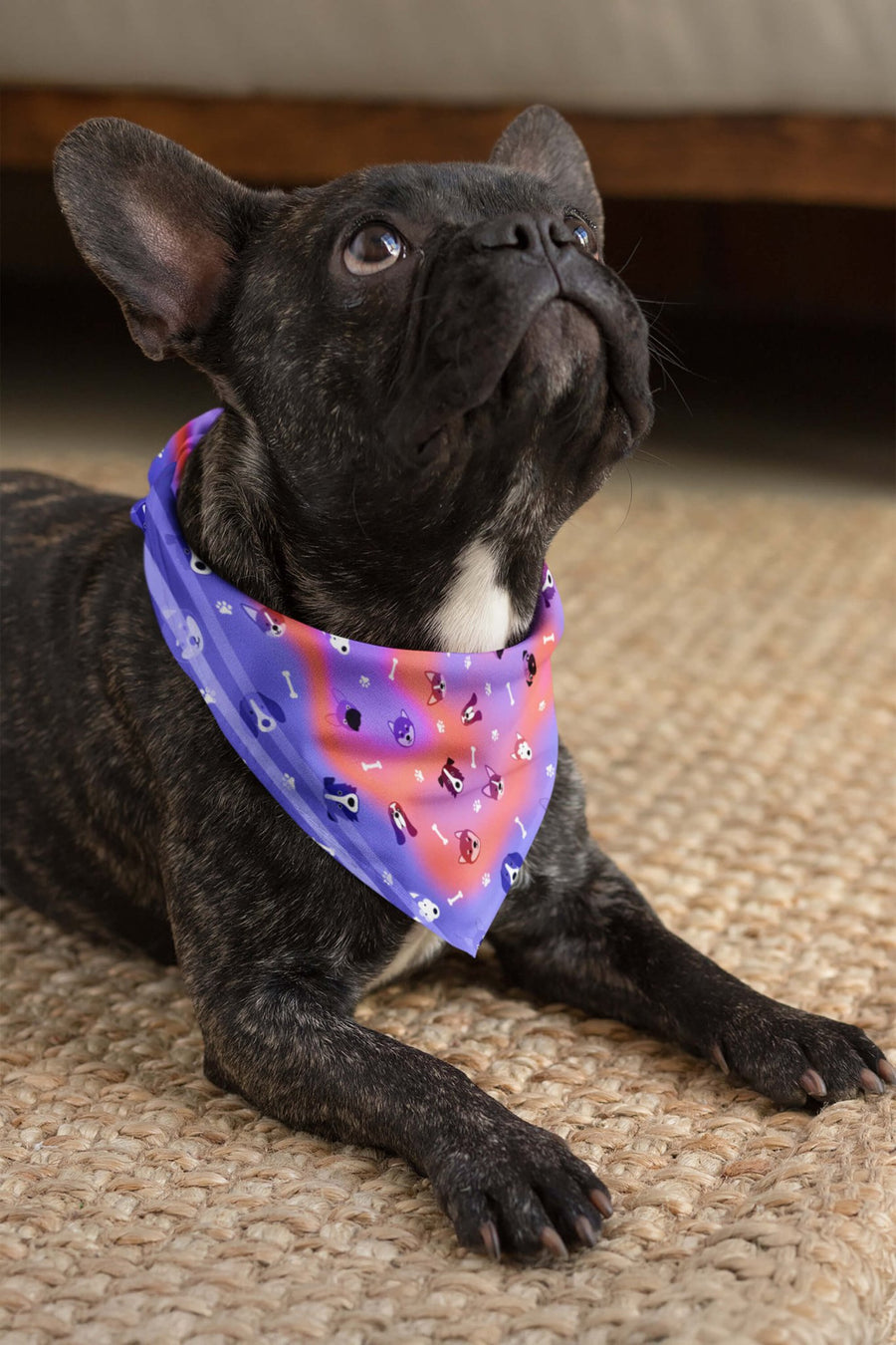Cosmic Dogs bandana from WOOF worn by a dog on a walk