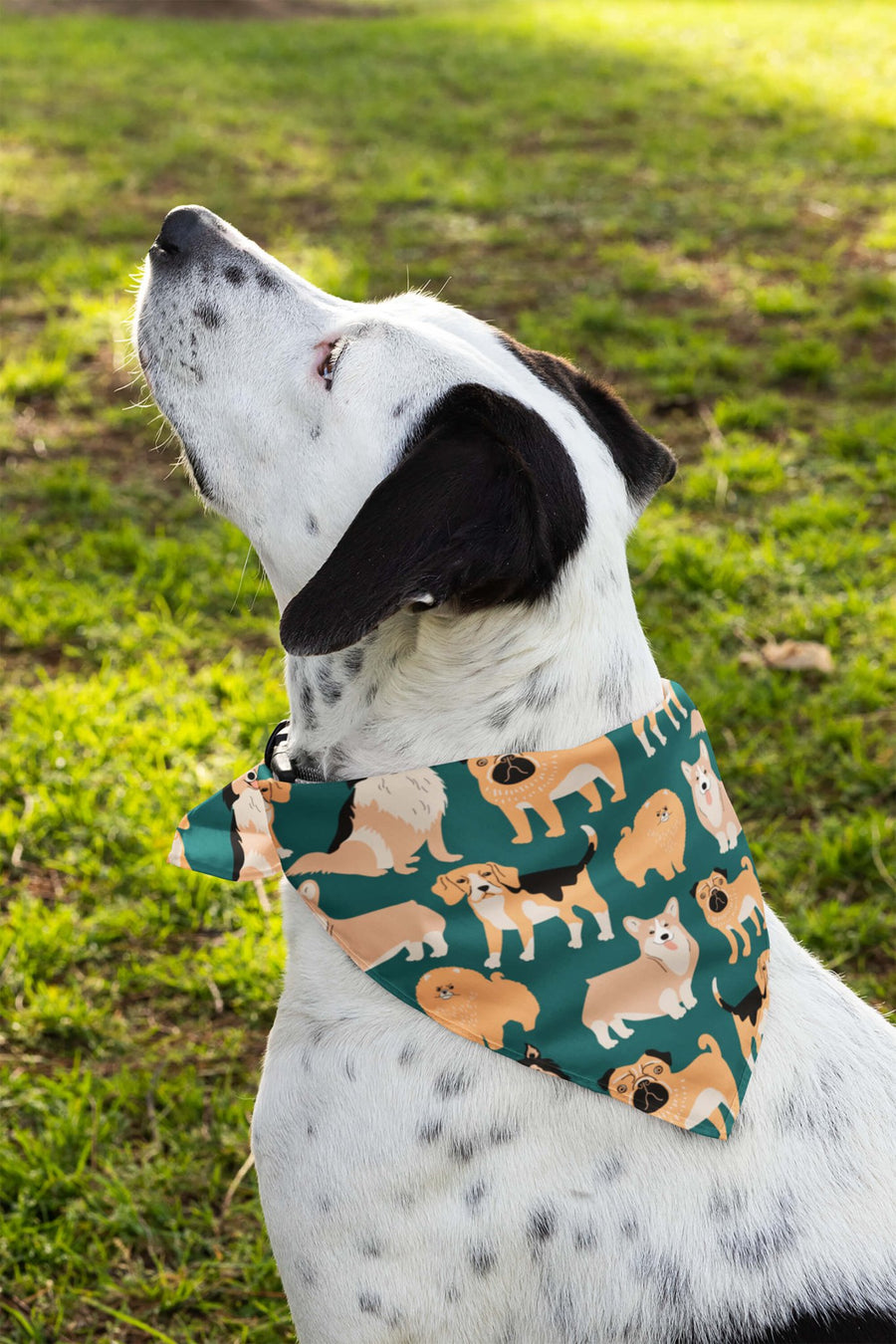 Ultimate Dog Parade bandana from WOOF worn by a dog on a walk