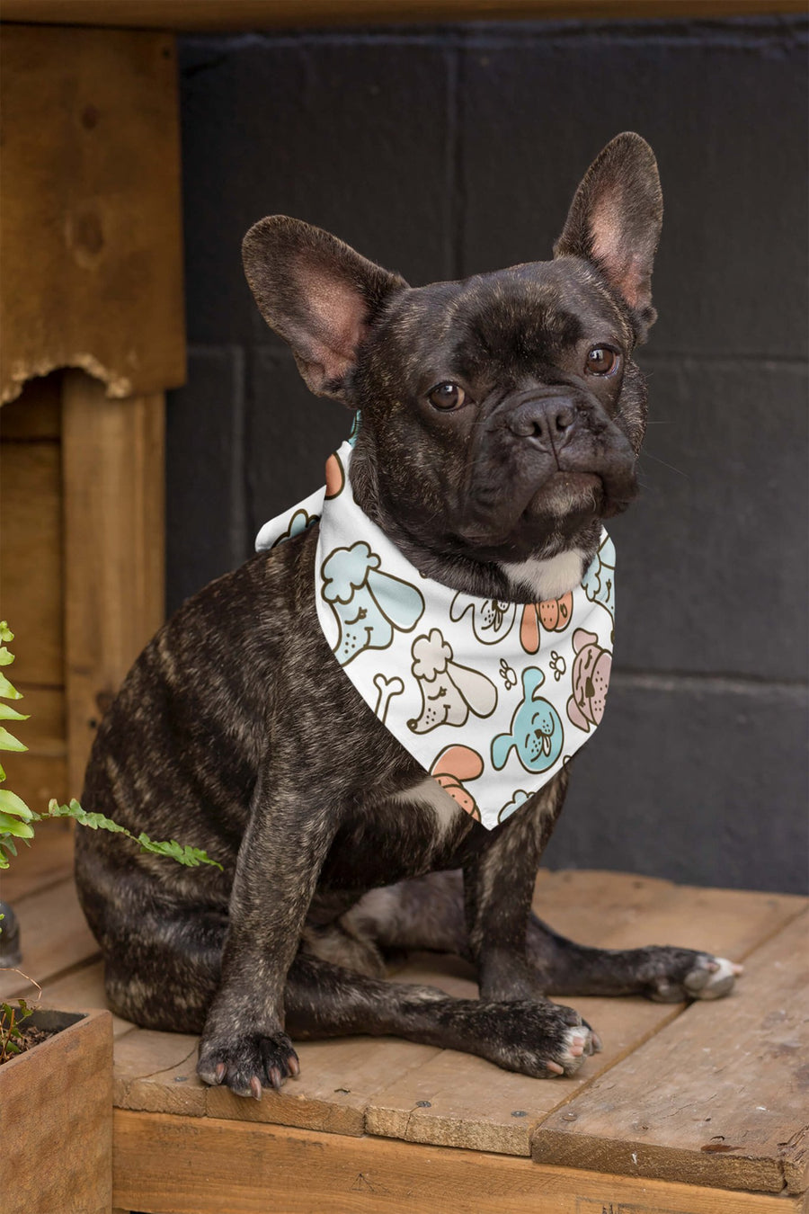 Dog Cuties bandana from WOOF worn by a dog on a walk