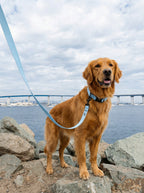 Ice Blue Dog Collar & Leash Set