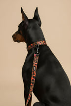 Elegant Leopard Dog Collar & Leash Set