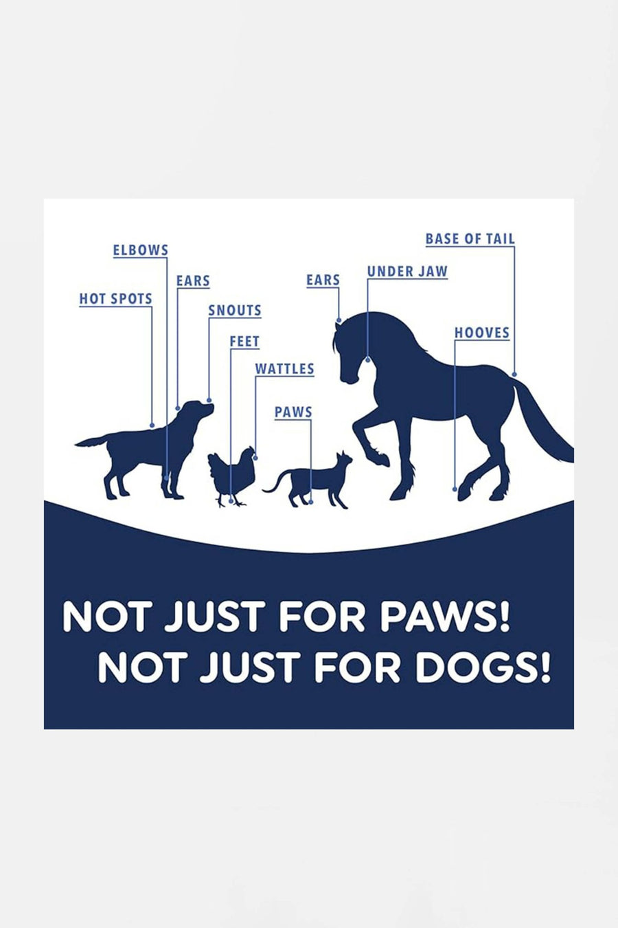 Mushers Secret paw wax from WOOF shown next to a dog paw
