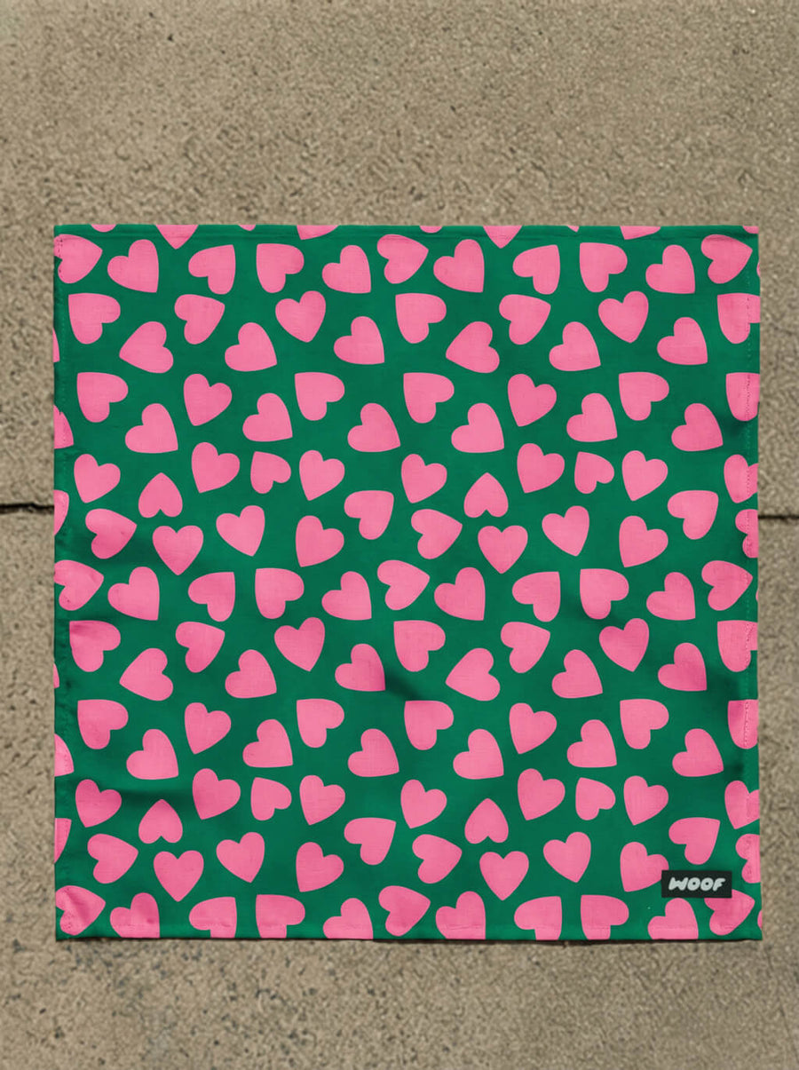 Flat lay of the Valentines Day dog bandana from WOOF