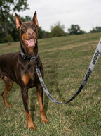 All Black WOOF Dog Collar & Leash Set