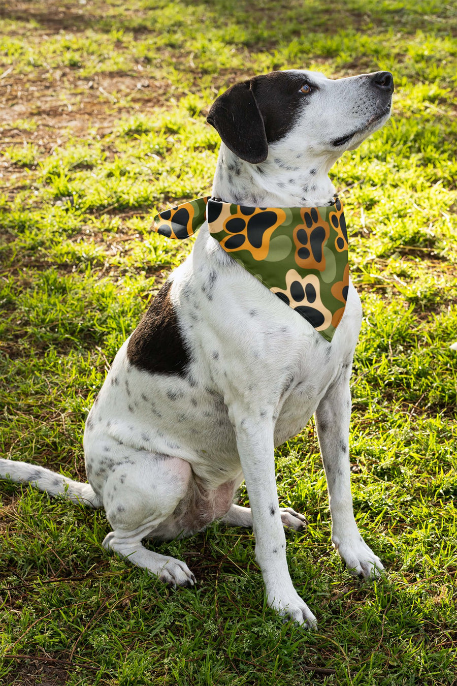 Camo dog bandana from WOOF worn by a dog on a walk