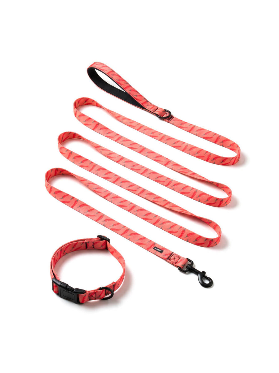 Chili print dog collar and leash set from WOOF, front view