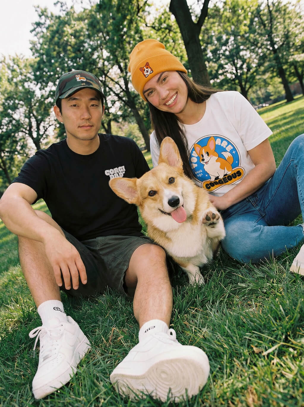 Corgi collection