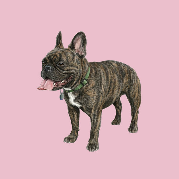 Illustration