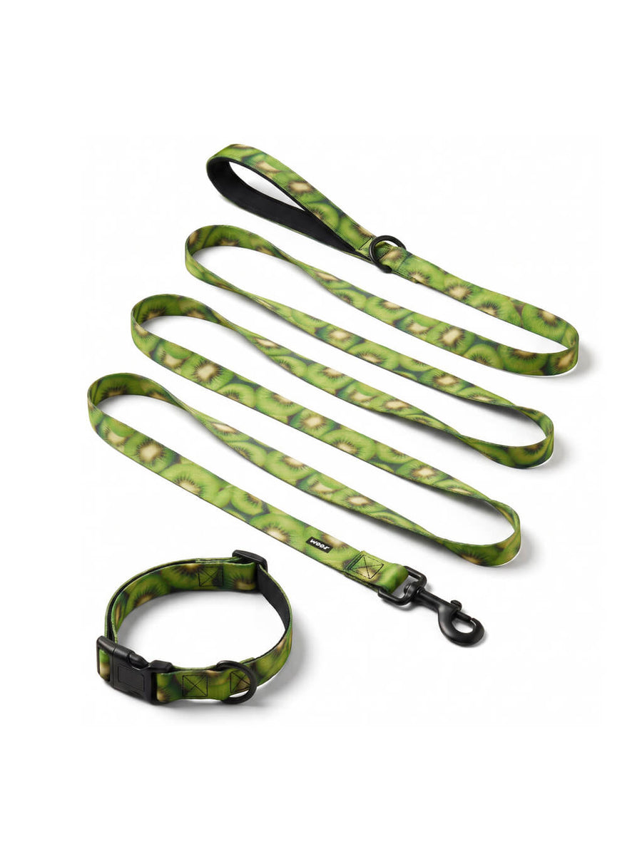 Kiwi print dog collar and leash set from WOOF, front view