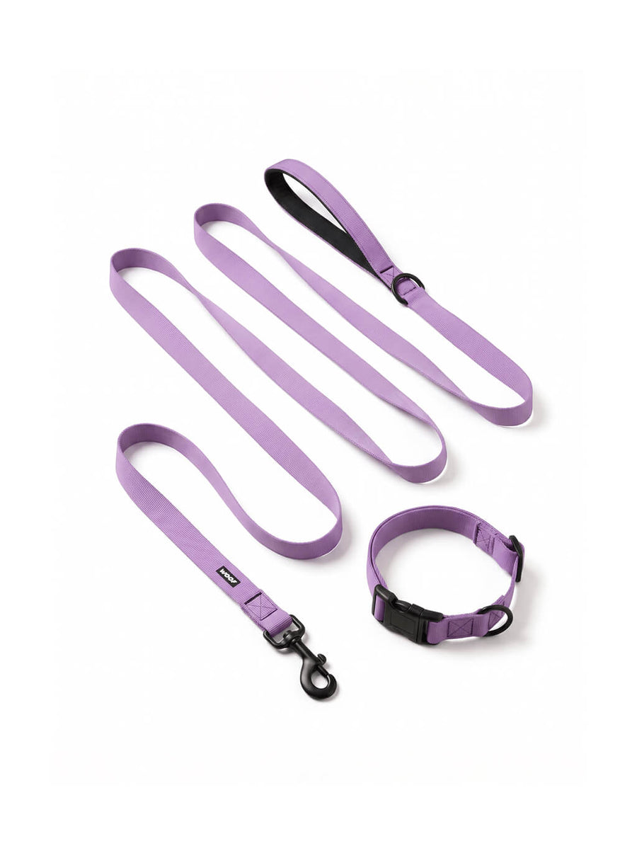 Lavender dog collar and leash set from WOOF, front view