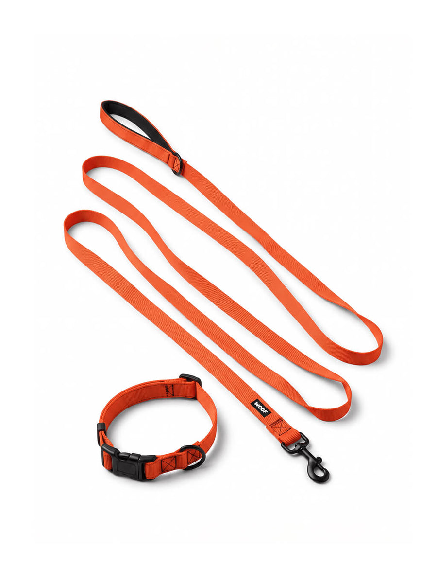 Neon orange dog collar and leash set from WOOF, front view