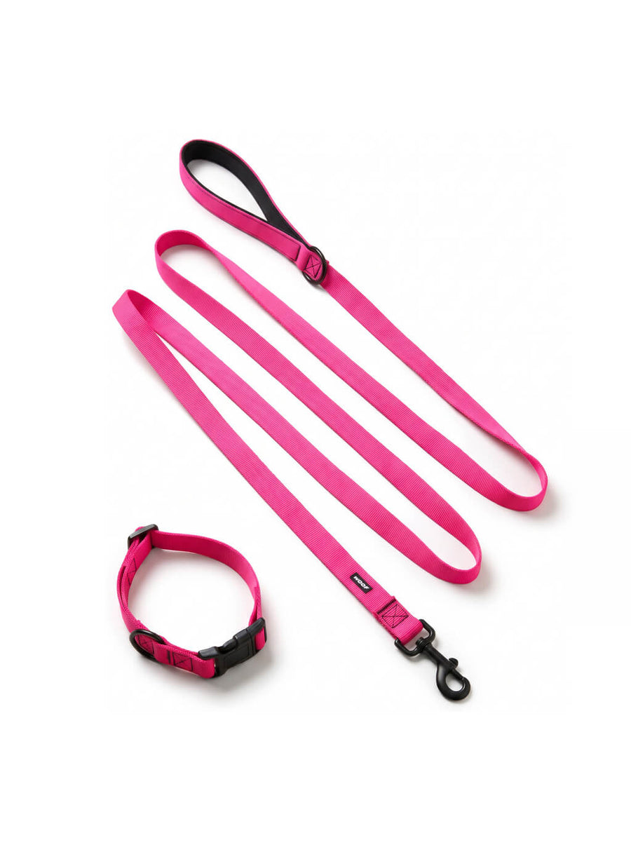 Neon pink dog collar and leash set from WOOF, front view