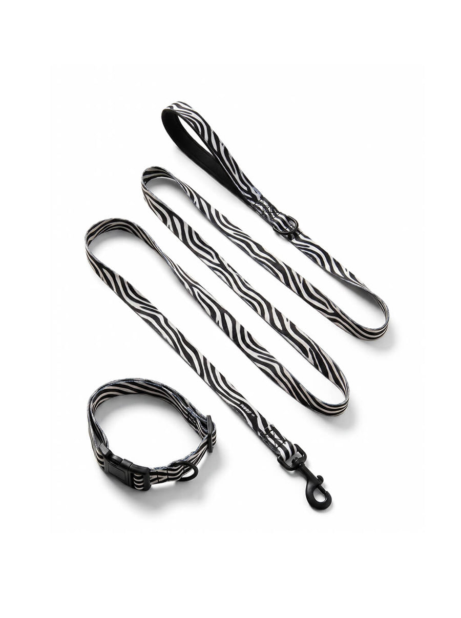 Zebra print dog collar and leash set from WOOF, front view