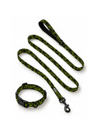 Green Pumpkin dog collar and leash set in black with a neon green jack-o-lantern print, laid out flat