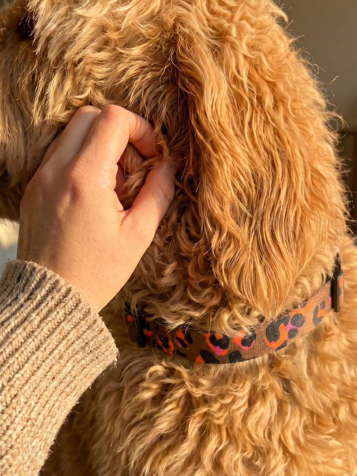 WOOF customer with their dog