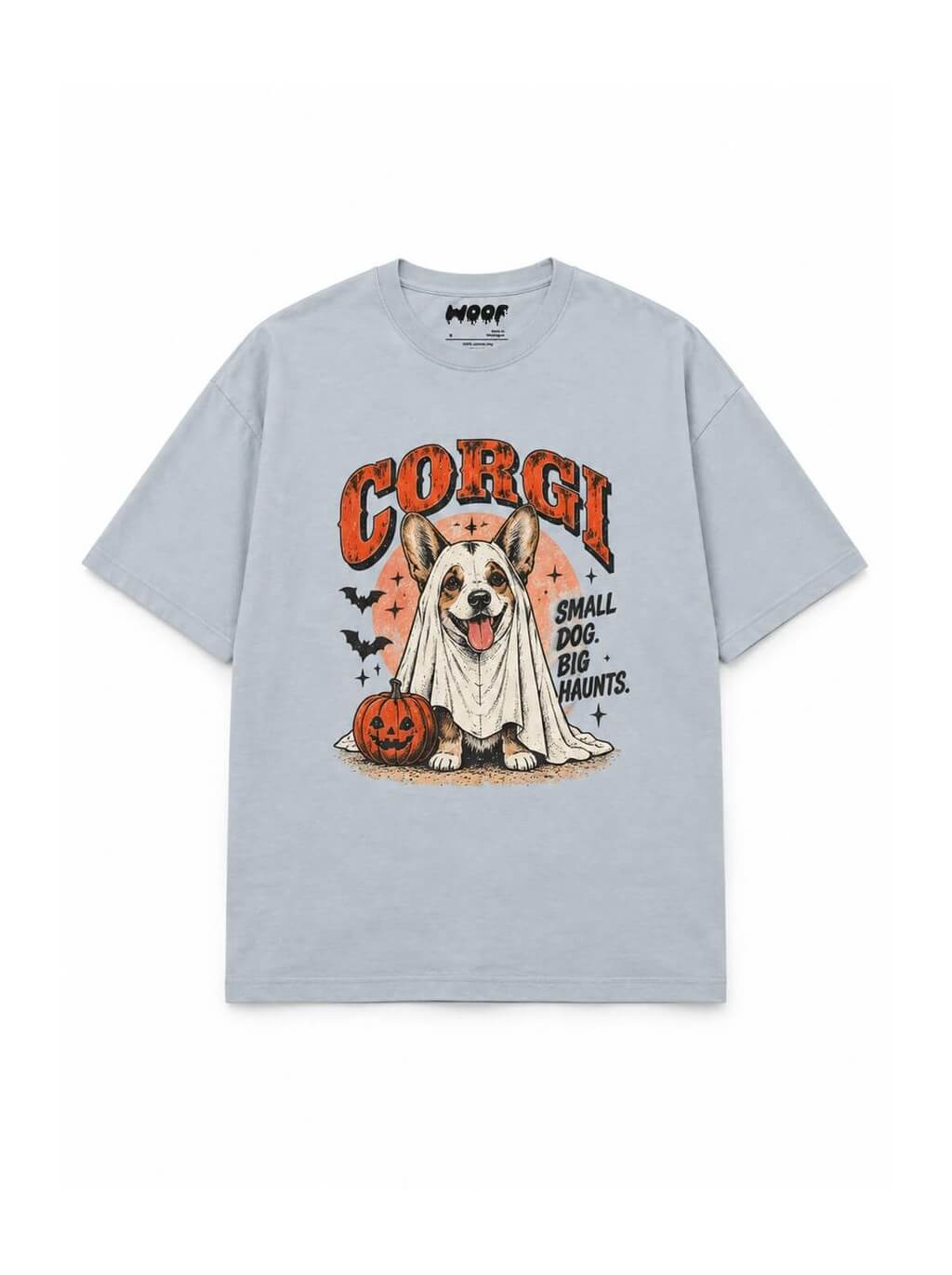 Paranormal Loaf Corgi oversized Halloween T-shirt in Light Washed Denim featuring a Corgi in a ghost sheet, front view