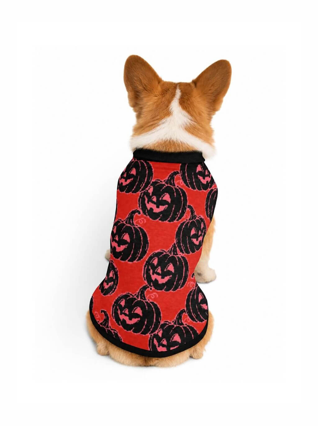 Pumpkin knitted dog sweater in red with black jack-o-lanterns, worn by a dog, back view