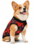 Corgi wearing the red Pumpkin knitted dog sweater with black jack-o-lanterns, front view