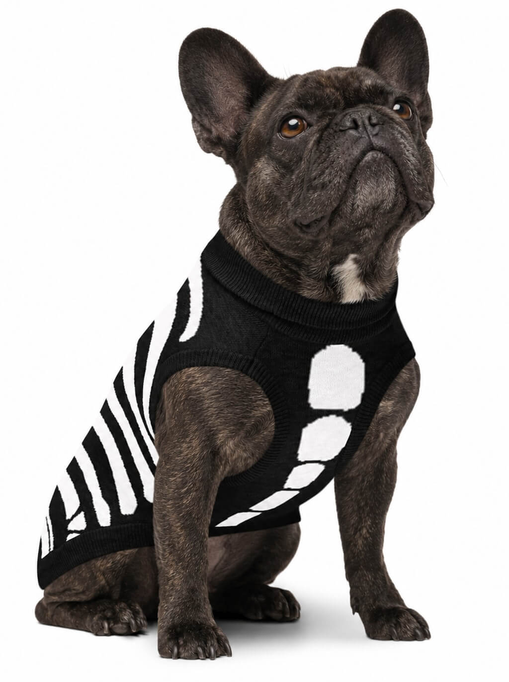French Bulldog wearing the black Skeleton knitted dog sweater with white ribcage print, front view