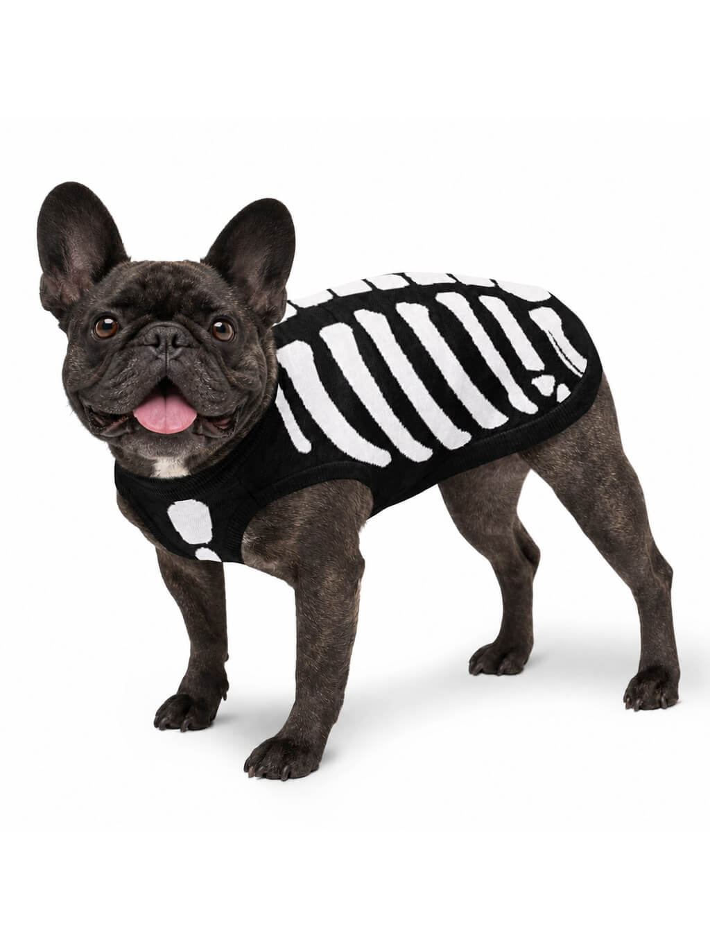 Side view of the black Skeleton knitted dog sweater with white bones on a French Bulldog